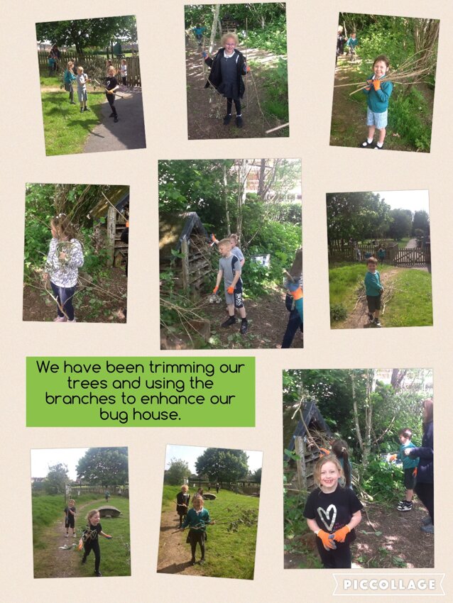 Image of Year 1 Gardening club